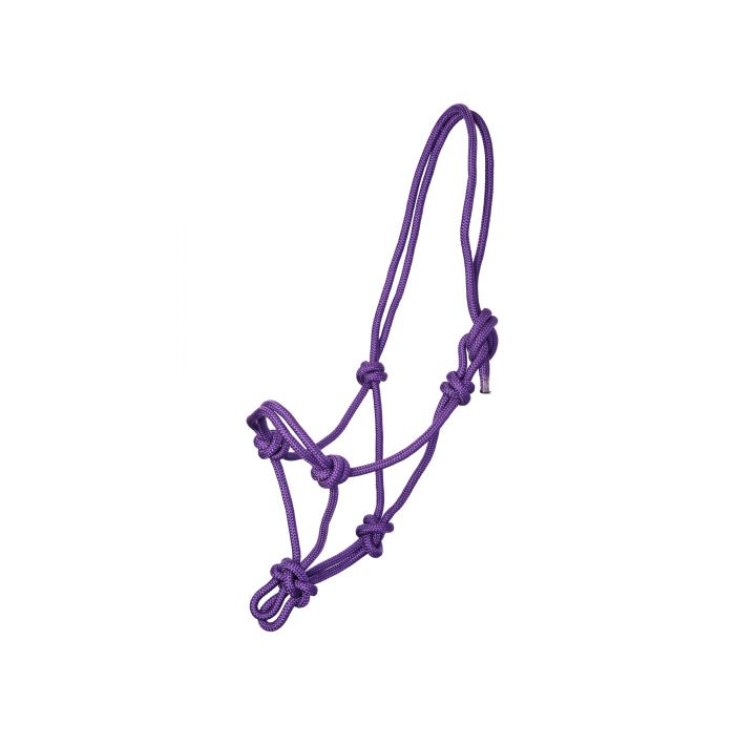 CORDE LICOL+LONGUEUR LONGUE