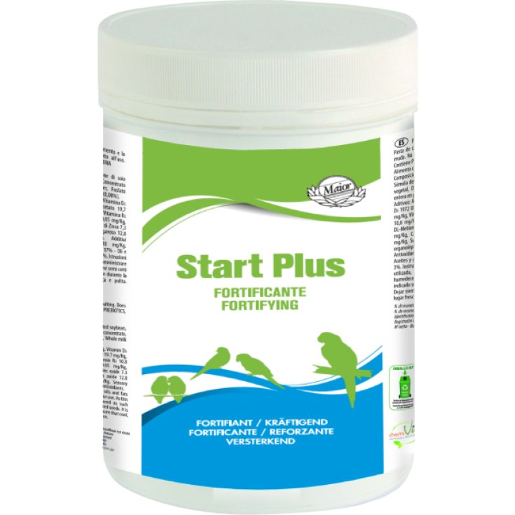 DÉBUT PLUS 250 GR