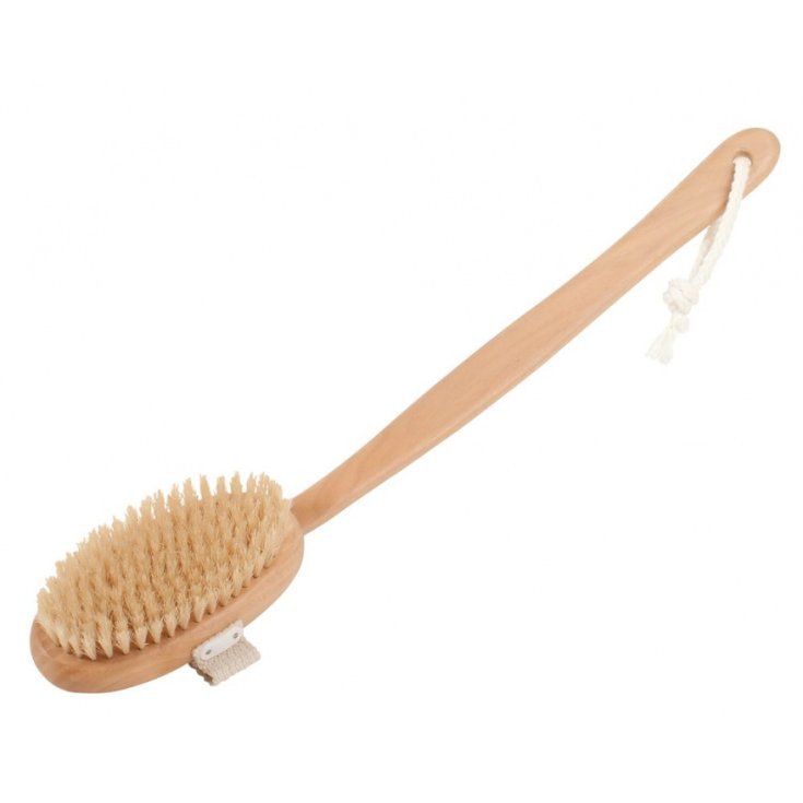 SPAZZOLINE UN LEGNO/SETA ASIA