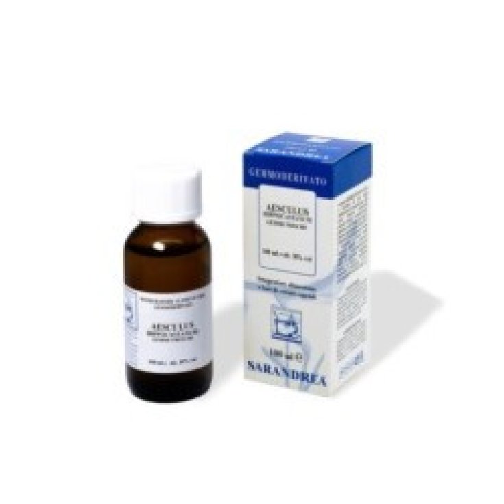 Ledum Palustre Gouttes 1000ml