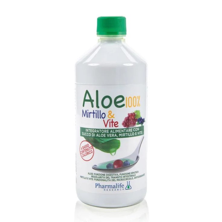 ALOE MIRTILLO & VITE 1L