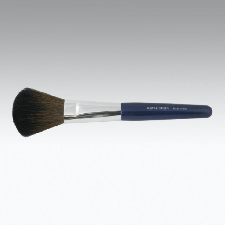 BROSSE DE MAQUILLAGE DU SOL LR