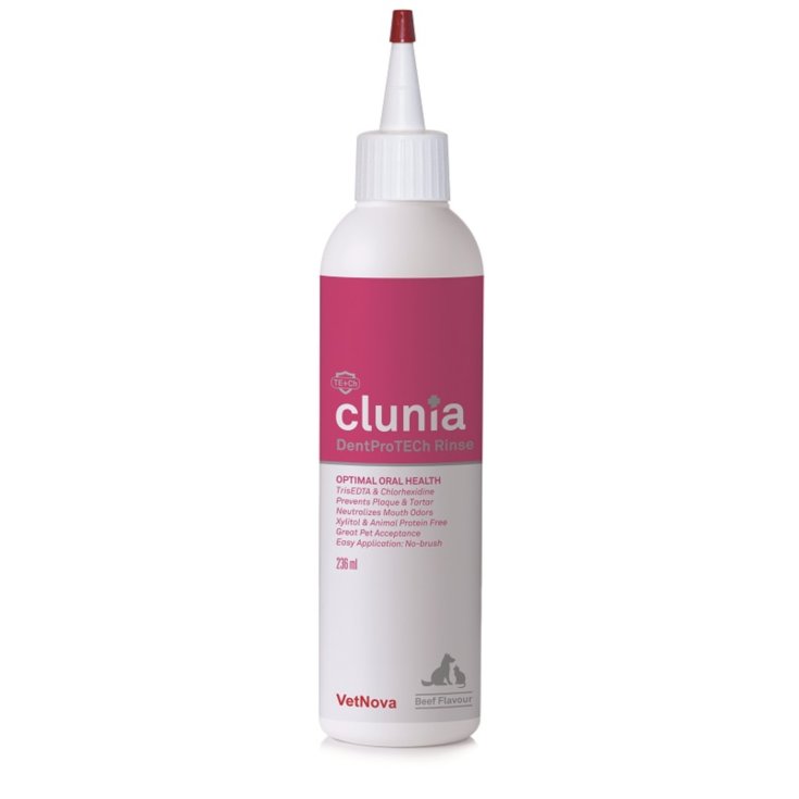 CLUNIA DENTPROTECH RINSE 236ML
