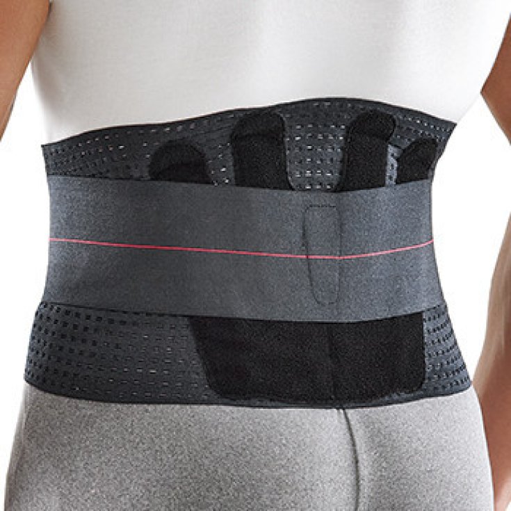 LOMBOGIB WORK H21 TG02