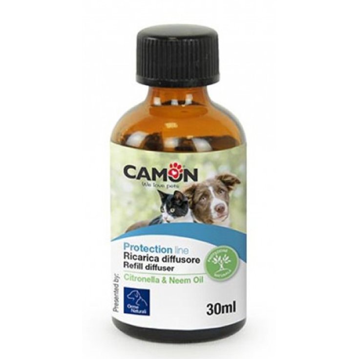 Recharge Te Ve Classique 250ml