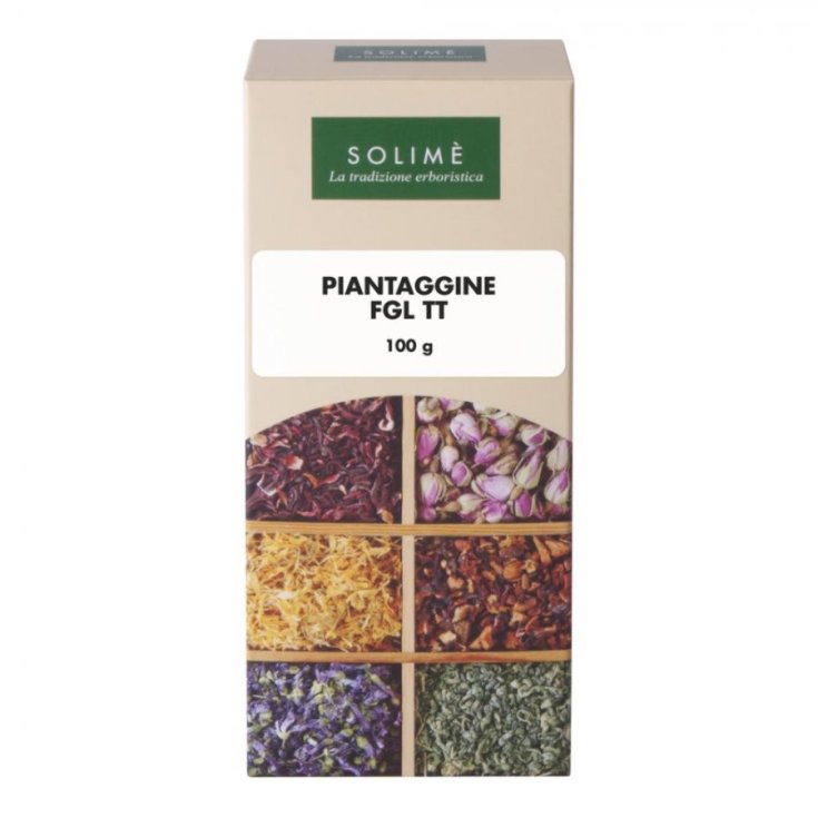 FEUILLES DE PLANTAIN TT 100G