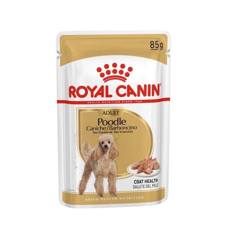 BHN WET POODLE ADULT 12X85G