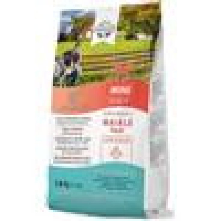 AEQUILIBRIAVET DOG MINI AG1,5K