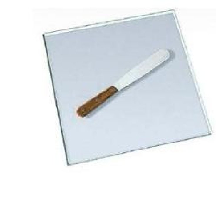 SPATULE INOX 2PAL STR6X30 L210