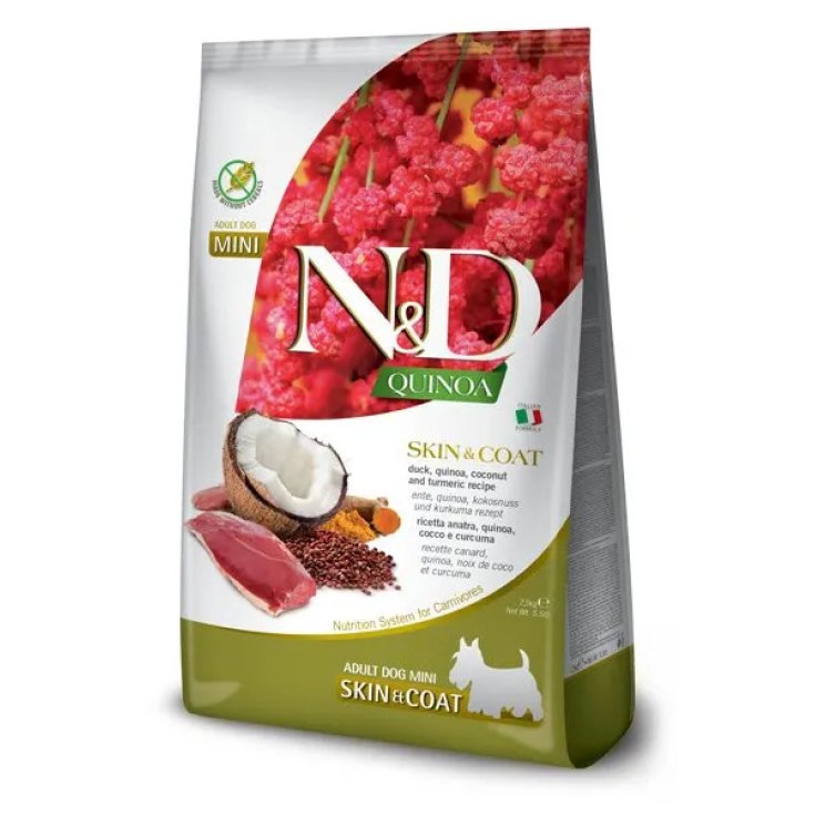 N&D ICI CHIEN S&C A/CO/C AD M2.5
