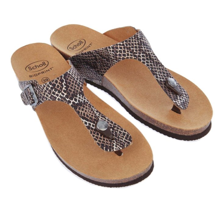 Scholl Gandia Anim Pr Mic W Wh/M 41