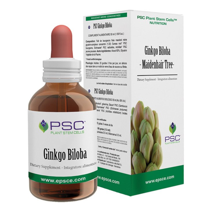 EXTRAIT SEC DE GINKGO 6% 100G