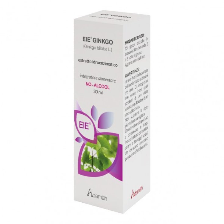 EXTRAIT SEC DE GINKGO 24% 100G