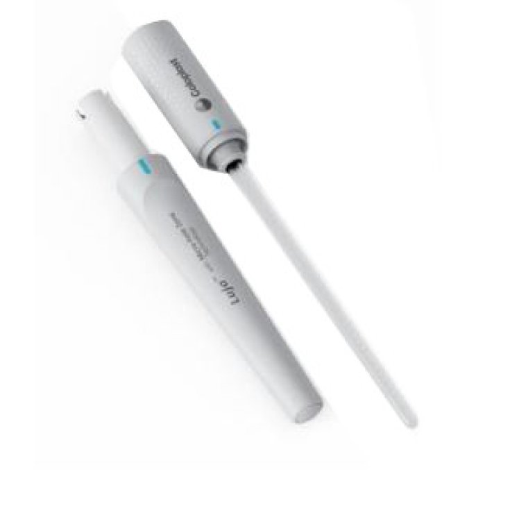 Coloplast Catetere Donna Luja CH14 30pz