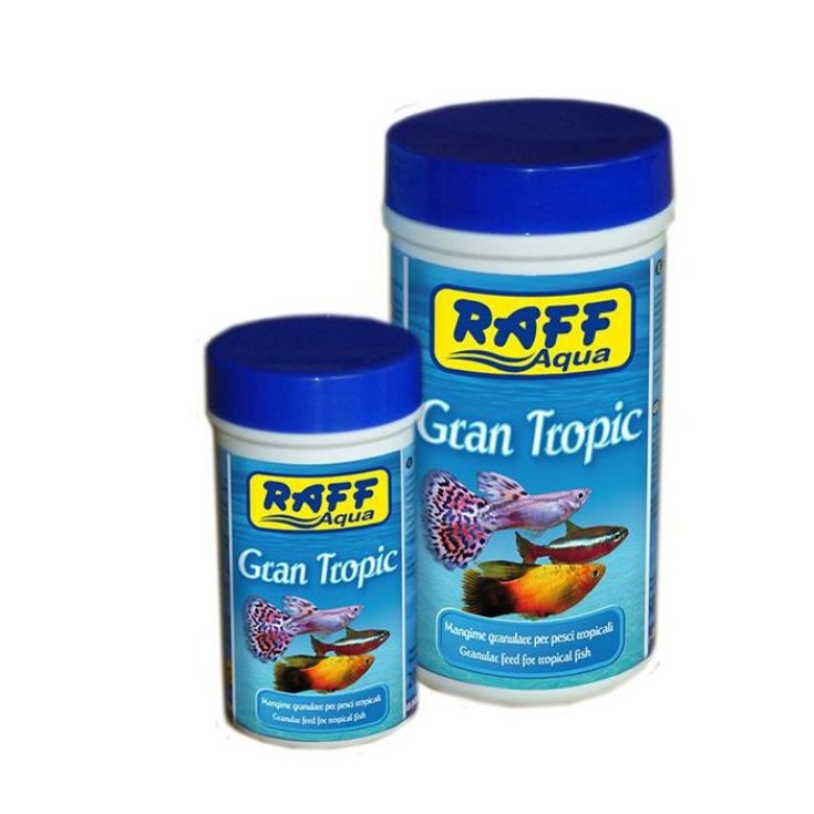 GAN TROPIC 36G