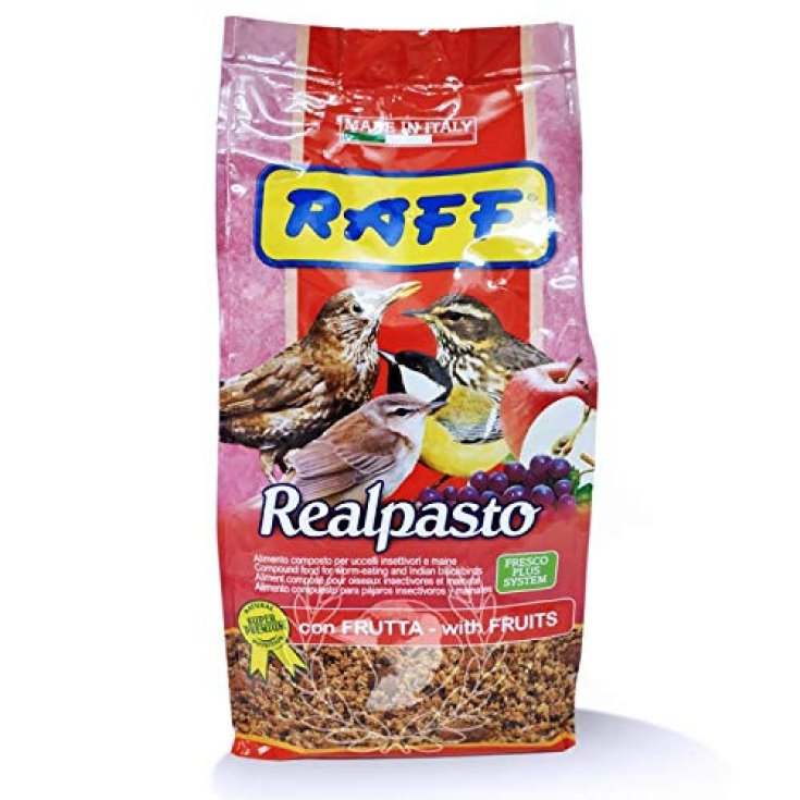 REALPASTO 1KG 300450