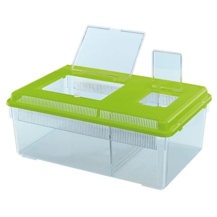 GEO FLAT SMALL ACQUARIO 4L