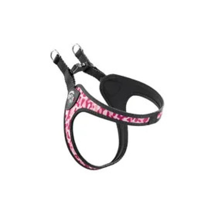 TP EF RE CLK RA CA 4