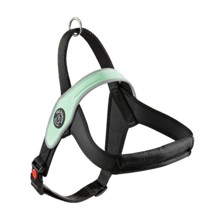 TP PRIMO SILVER MENTA M