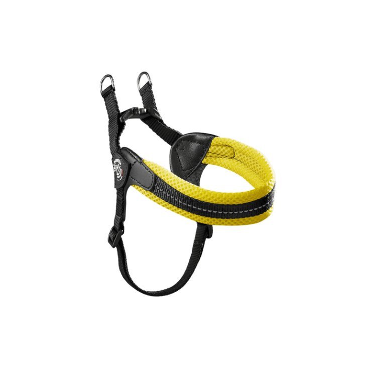 TP EF RE S/P REG GI FLUO 2,5