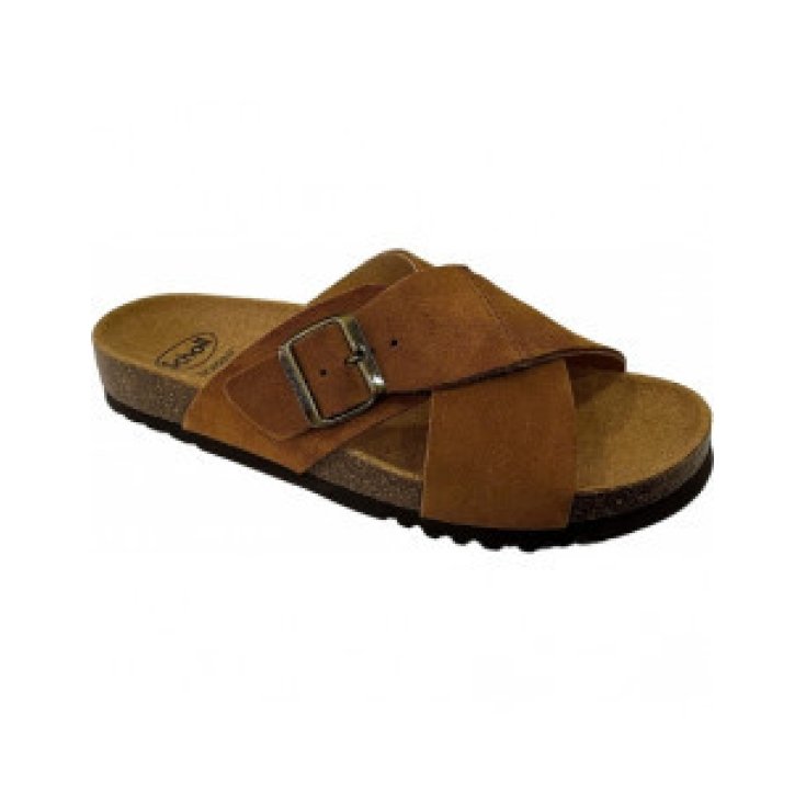Scholl's Tangor Ad Synt M Cognac 44