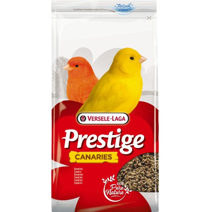 CANARINI BELGIO 1KG