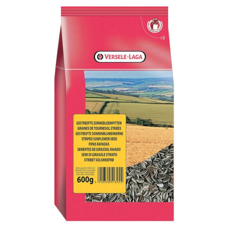 GIRASOLE PICCOLO STRIATO 600 G