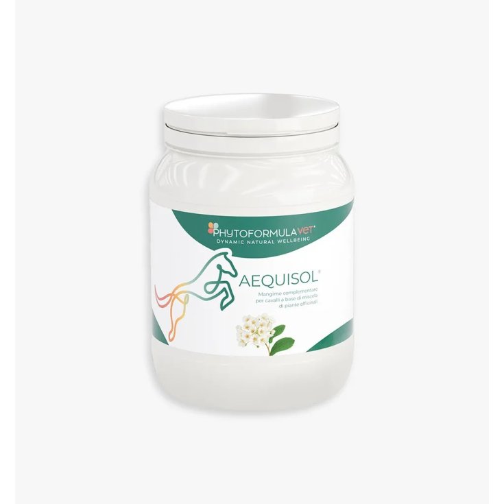 AEQUISOL 500G