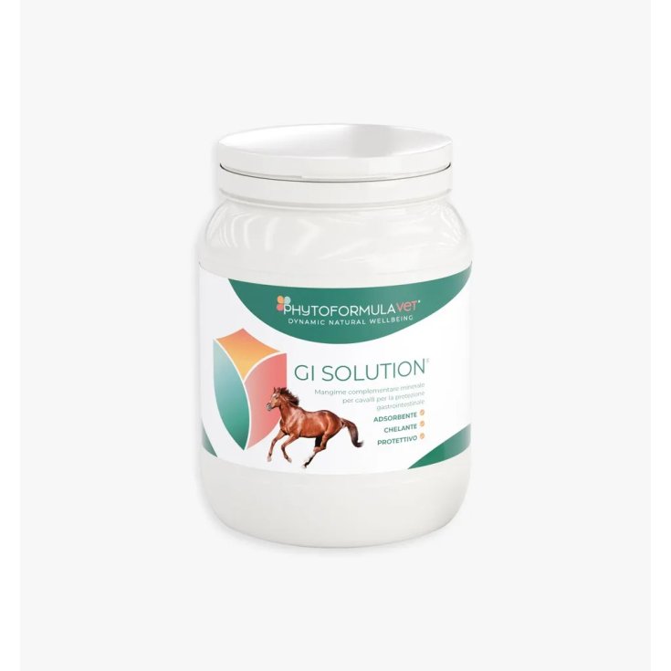 GI SOLUTION 1KG