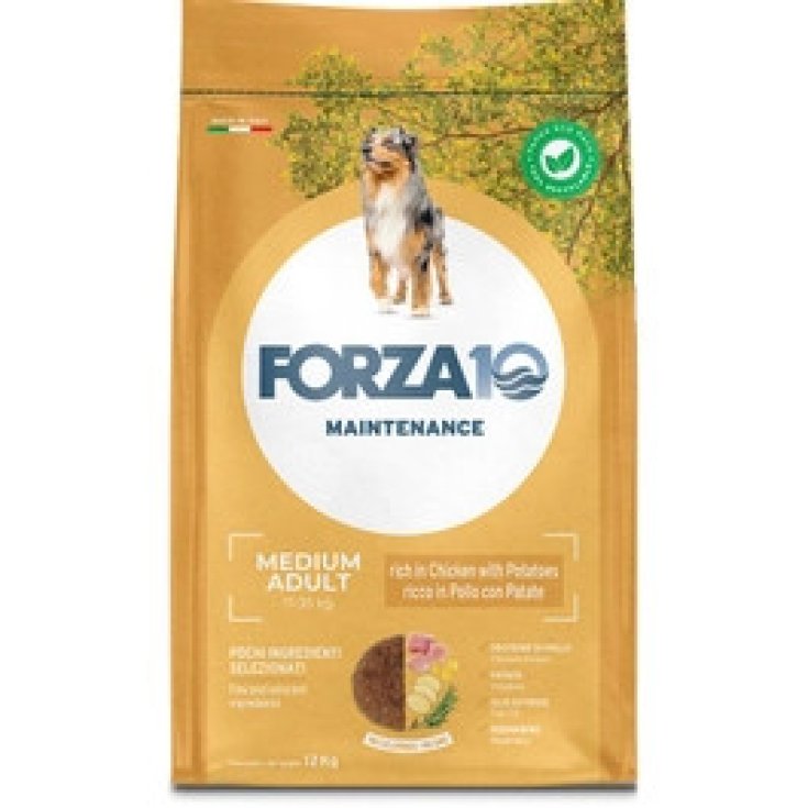 F10 MANT DOGMEDADU POL/PAD12KG