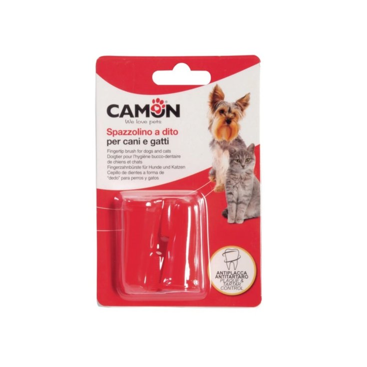 SPAZZOLINO A DITO 2P 6CONF