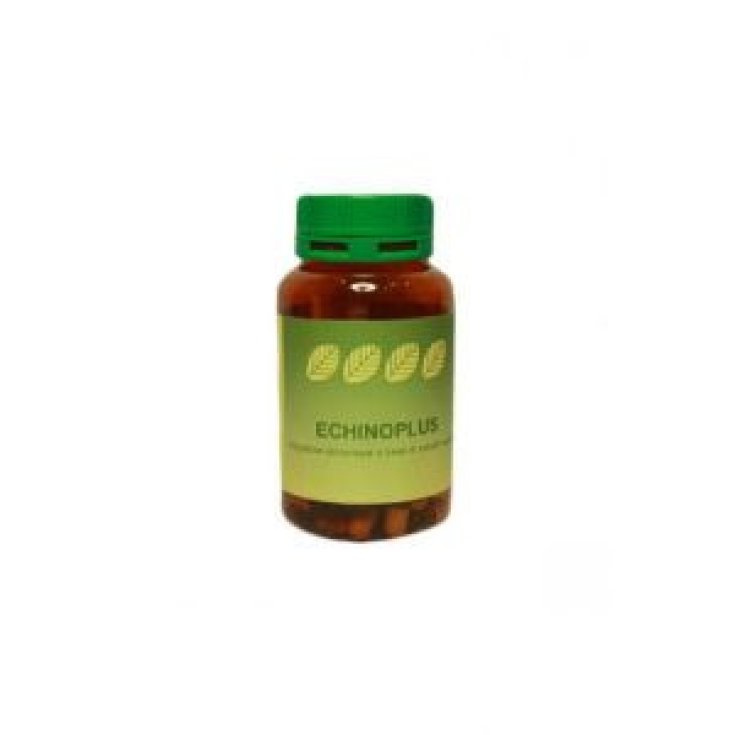 ECHINULASE 60CPS