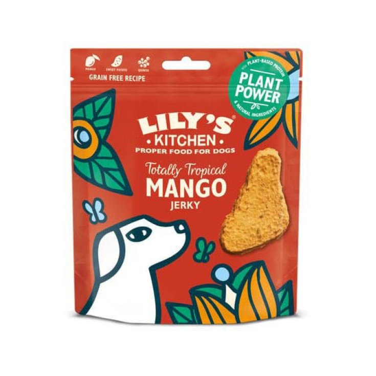 LK SNACKS DO PLANT POWER 70G