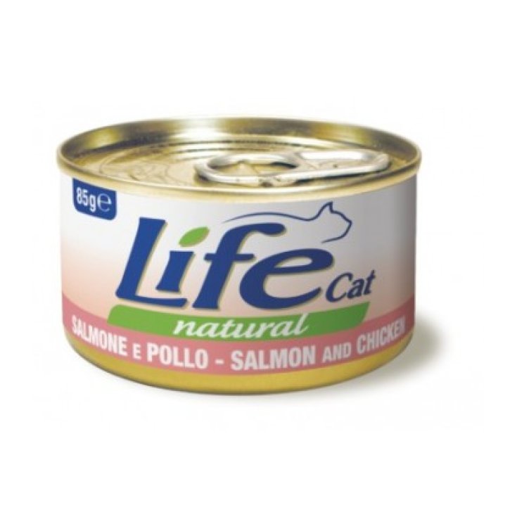SALMONE POL 85G
