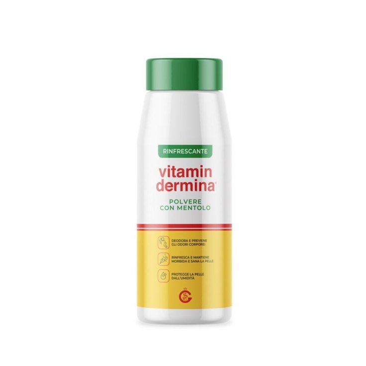 Vitamindermina Polvere Mentolo 100 G
