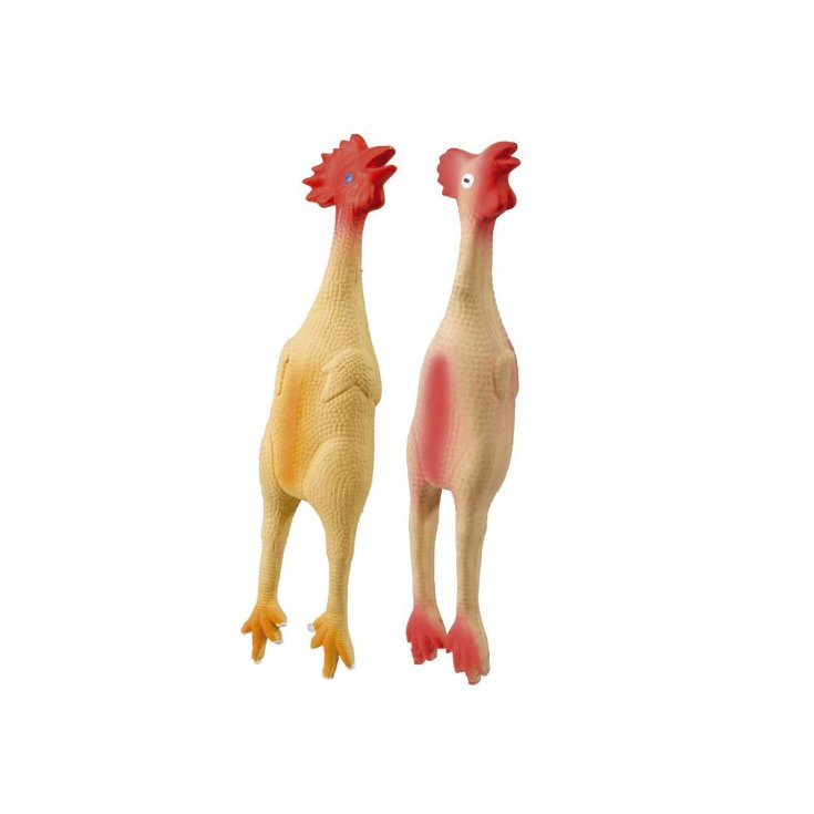 PA 5556 POULET PETIT