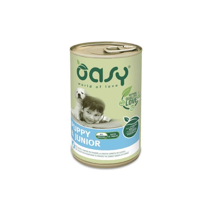 OASY WET DOG LIFES CHIOT 400G