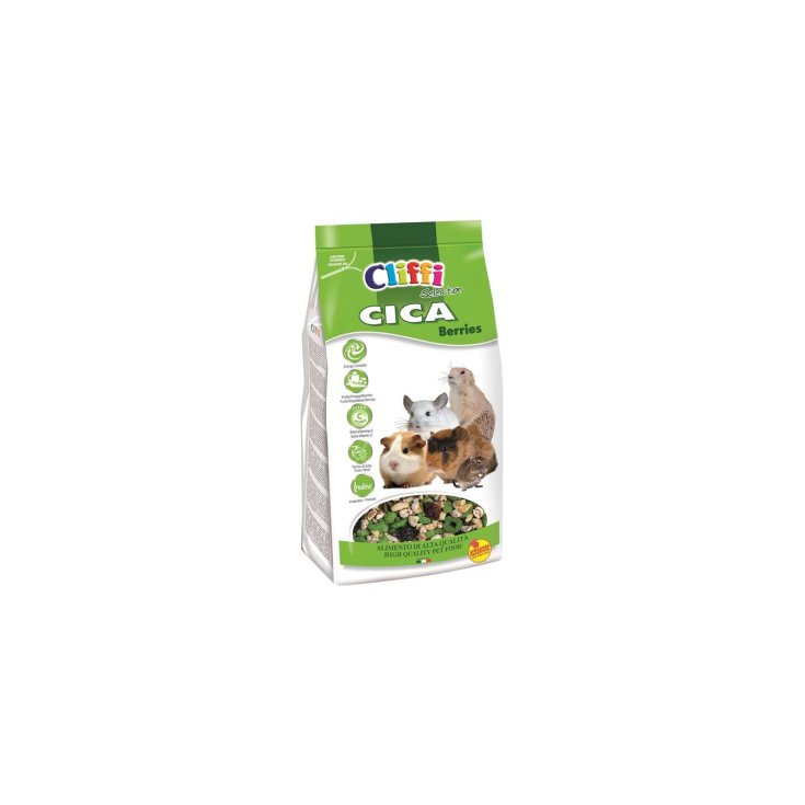 SÉLECTION DE BAIES DE CICA 800 GR