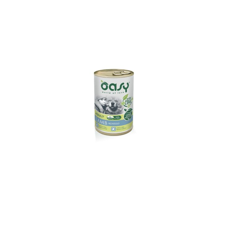 OASY WET DOG UN AGNEAU 400G