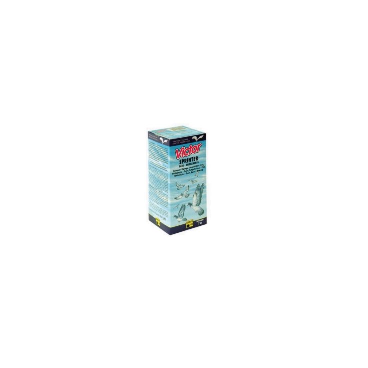 LIQUIDE VICTOR SPRINTER 200 ML
