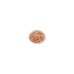 RECETTES LIFE CAT 150GR THON
