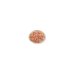 RECETTES LIFE CAT 150GR THON-CREVETTES