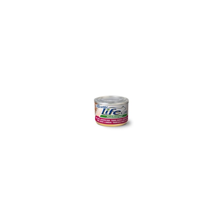 RECETTES DE CHAT DE VIE 150GR TON-MAN-PROS