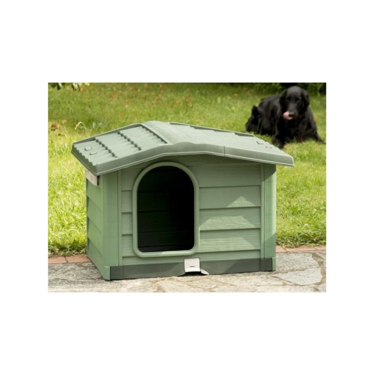 BUNGALOW CHENIL VERT MOYEN