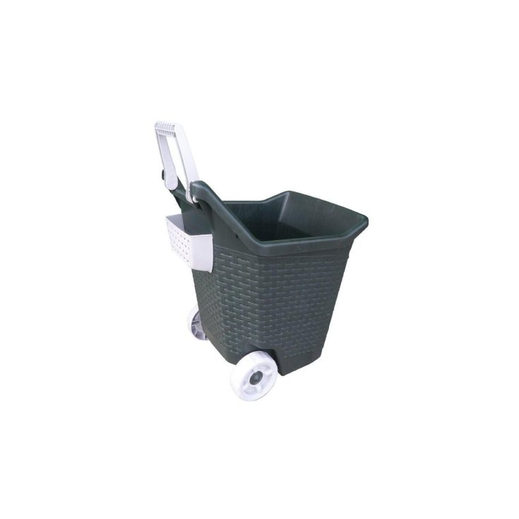 CHARIOT KART 76 Lt. MOSS