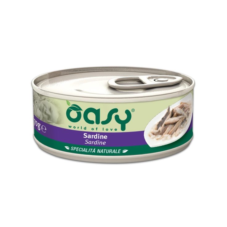 OASY WET CAT SARDINE 70G LAIT