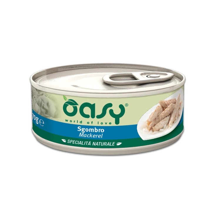 OASY WET CAT MAQUEREAU 70G LAIT