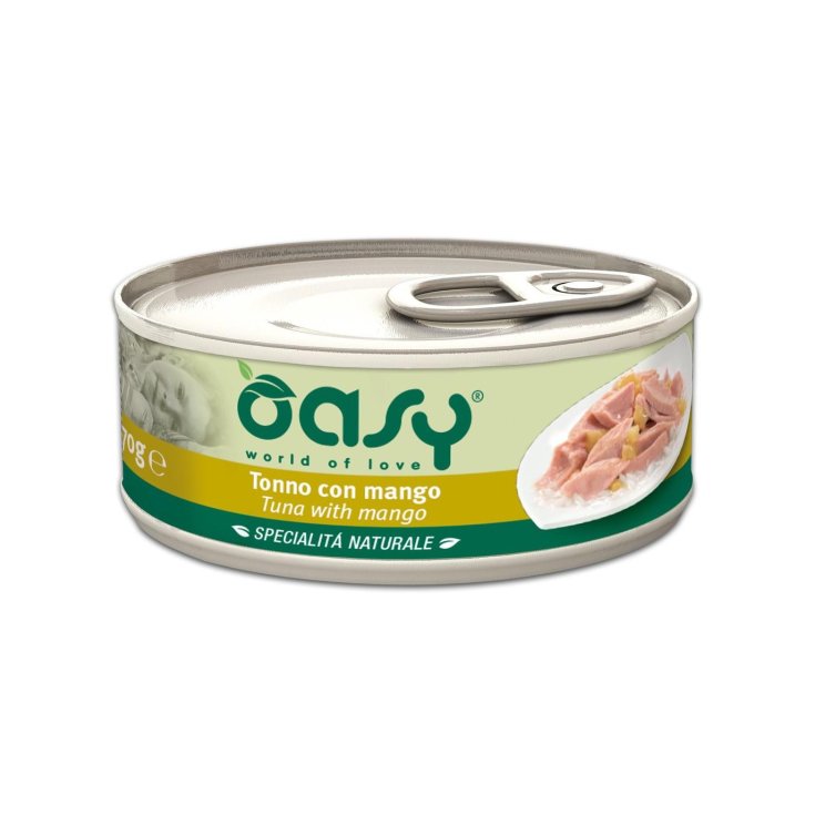 OASY WET CAT THON/MANGUE 70G