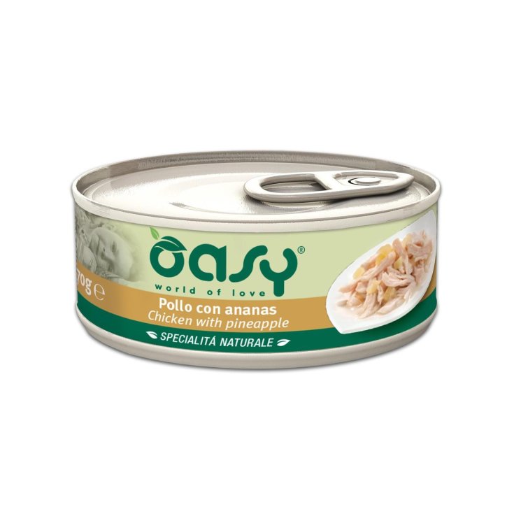 OASY WET CAT POULET/ANANAS 70G