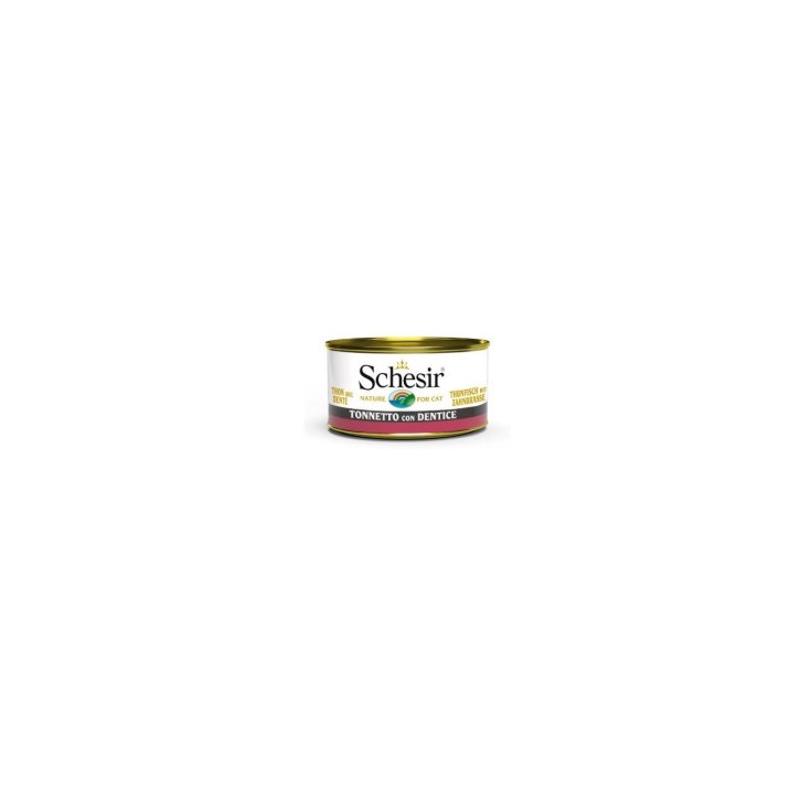 SCHESIR CHAT TON DENTICE 85G